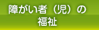 障がい者（児）の福祉